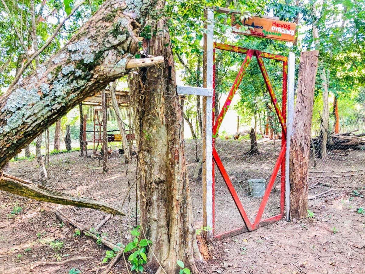 Cabanas Mannan Tanchachín Dış mekan fotoğraf